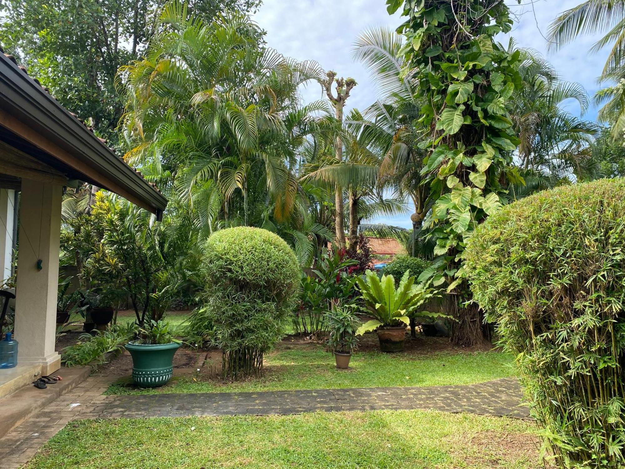 Tangalle Green House Exteriér fotografie