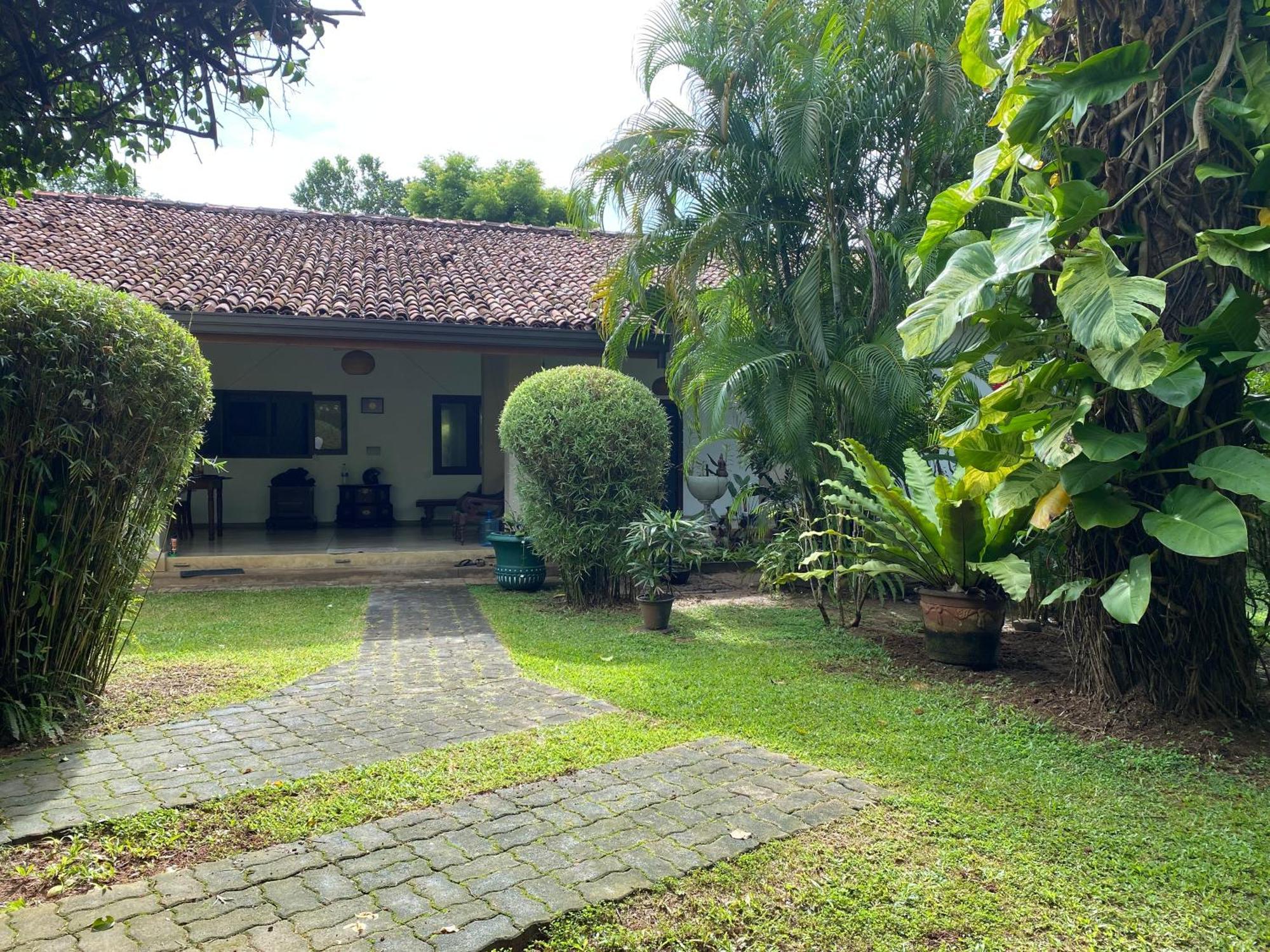 Tangalle Green House Exteriér fotografie