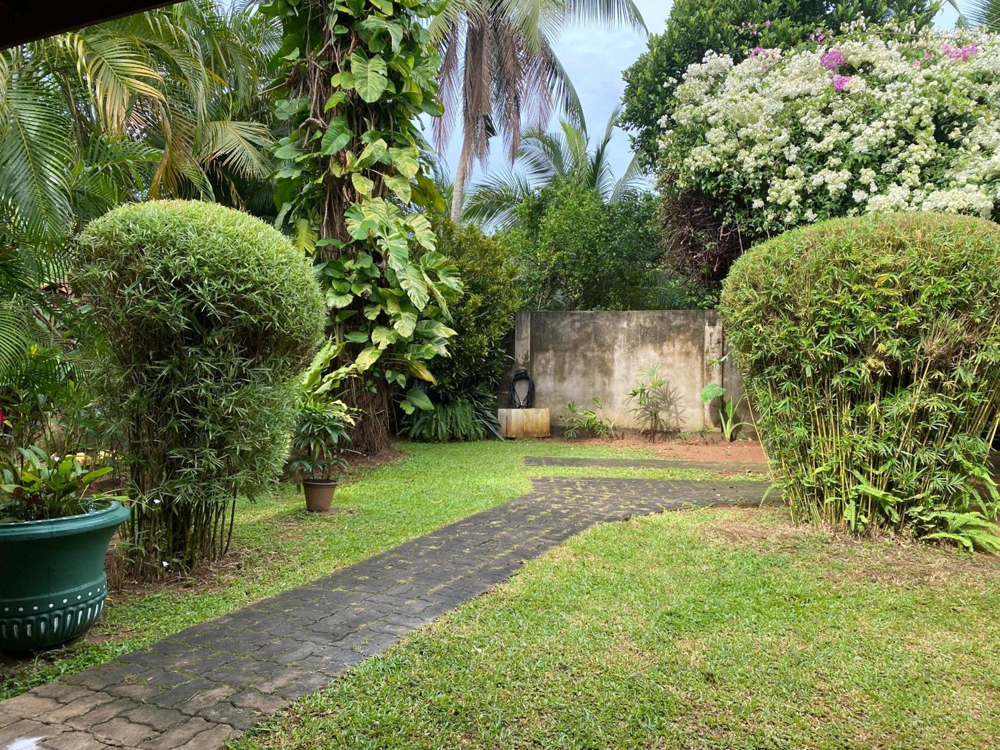 Tangalle Green House Exteriér fotografie